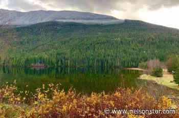 Nakusp community forest answers citizen concerns about wildfire mitigation – Nelson Star - Nelson Star