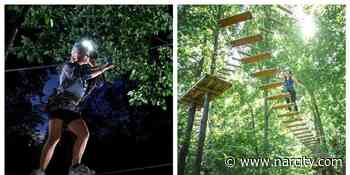 Treetop Trekking In Ontario Lets You Explore A Forest At Night - Narcity Canada