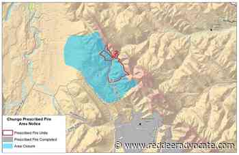 Wildfire danger in Rocky Mountain House forest area ‘very high’ - Red Deer Advocate