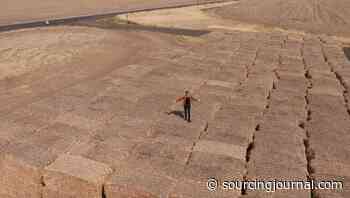 29 Brands Including Ugg Join Pack4Good Forest-Saving Packaging Pledge - Sourcing Journal