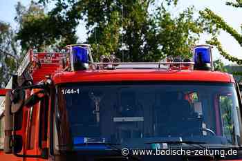 Feuerwehr löscht mit 85 Mann einen Flächenbrand bei Steinen - Steinen - Badische Zeitung
