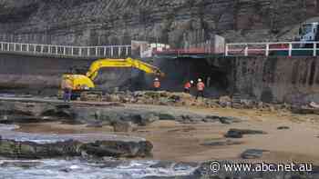 Warnings that seawall erosion at Newcastle is 'going to get worse'