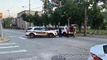 SWAT Situation In Hazlewood