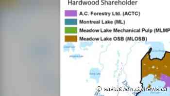 'Use it or lose it': Prince Albert mayor calls for province to adapt to lumber demands