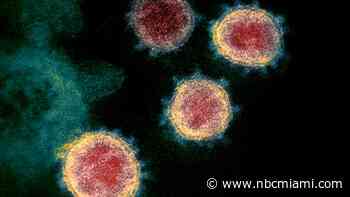 Florida Will No Longer Release Daily COVID-19 Numbers, Moves to Weekly Reports