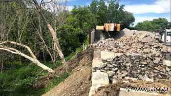 Cleanup begins after conservationists sound alarm about industrial waste in Don Valley ravine