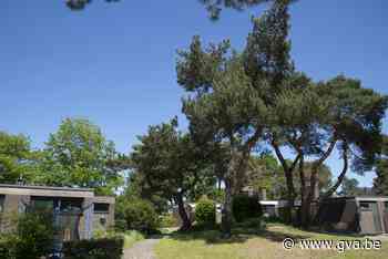 Op bezoek in Egelsvennen, de mooiste wijk van België in 1973: “Als ze niet oppassen, wordt he - Gazet van Antwerpen