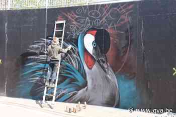 Graffitikunstwerk in Molse fietstunnel wint internationale prijs - Gazet van Antwerpen