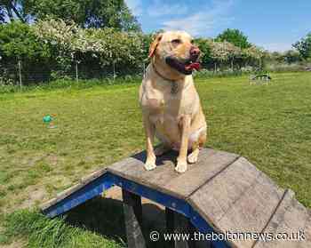 Westhoughton Dog Park opens second enclosure due to popularity