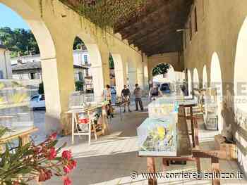 Cavour: Appuntamento con "Cavour in piume" - Domenica sotto l'ala di piazza Martiri della Libertà - Il Corriere di Saluzzo