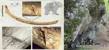 Una costola di orso bruno con un frammento di freccia: sopra Ala l'insediamento del Paleolitico dei cacciatori nomadi ''specializzati'' in plantigradi - il Dolomiti