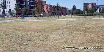 Parco Fazioli e via Vecchia Dogana erba tagliata dopo le proteste - Cremonaoggi