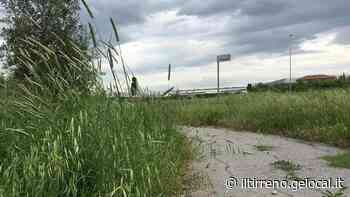 Terreni incolti, partono a breve i controlli per il taglio dell’erba - Il Tirreno