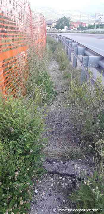 Via Nazionale: tagliare l'erba per permettere il passaggio - la VOCE del TRENTINO