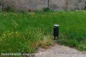 "Parco di Porta di Valle, erba alta quanto i cestini" - Tuscia Web
