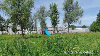 Nel parco giochi di via Sanzio l’erba è troppo alta - Il Tirreno