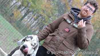 Modena Cani agitati, spaesati e in difficoltà: il lockdown ha colpito gli animali - La Gazzetta di Modena