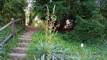 Modena. L’Orto Botanico pronto a riaprire dopo il restauro durato tre anni - La Gazzetta di Modena
