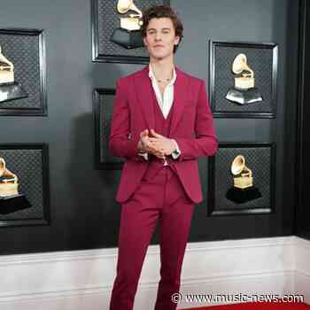Shawn Mendes' struggle