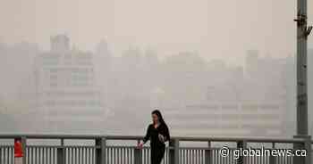 The particles, gases and organisms in wildfire smoke — and what they mean for your health