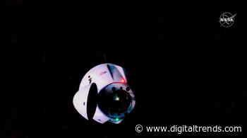 SpaceX Cargo Dragon arrives at space station carrying tiny squid