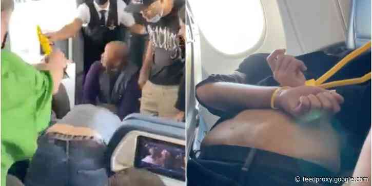 Videos shows a man who allegedly tried to hijack a Delta flight being restrained and zip-tied by passengers and flight attendants