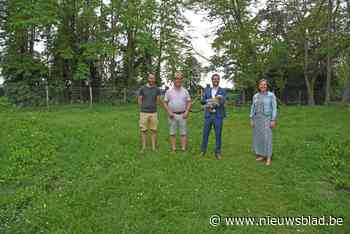 Park 't Kruis heeft nu ook hondenlosloopweide (Dendermonde) - Het Nieuwsblad