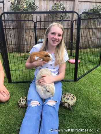 An ensuite for Tibbles please! Marlborough girl sets up small pet hotel