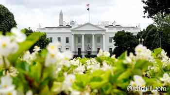 White House says it was unaware of NY Times gag order