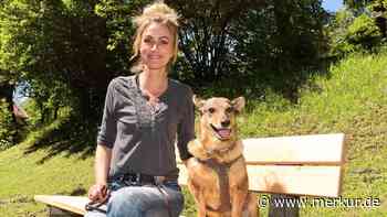 Starnberg: Seit Corona - Viele Hunde im Landkreis, aber mit wenig Erziehung - Merkur.de