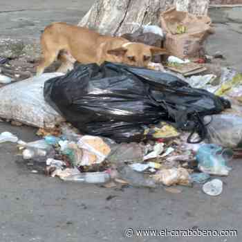Denuncian proliferación de basura en casco central de Bejuma - El Carabobeño