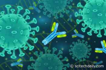 In the Blood: Antibodies Identified That Best Neutralize the Coronavirus in COVID-19 Patients