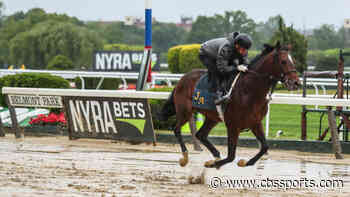 Belmont Stakes 2021: Odds, time, post positions, TV coverage, how to watch, live stream,