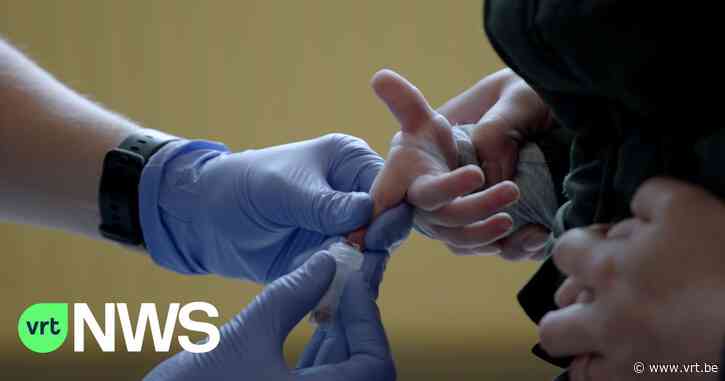 Loodwaarden in bloed bij kinderen rond Umicore in Hoboken verder gedaald: "Maar we zijn er nog niet" - VRT NWS