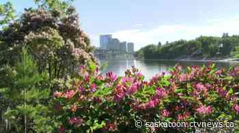 Morning showers slide through, but heat warnings remain: This is your Saskatoon forecast - CTV News Saskatoon