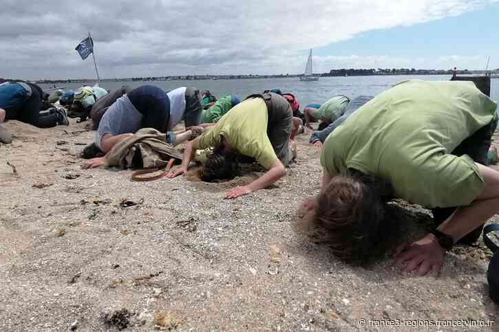 Lorient : manifestation contre les algues vertes - France 3 Régions