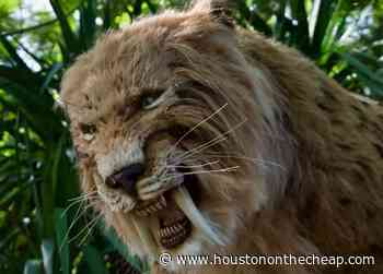 Check Out The Prehistoric Beasts Exhibit At Houston Zoo - Houston On The Cheap