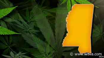 Lawmakers discuss future of medical marijuana in Mississippi - WTVA