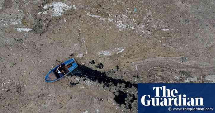 'Sea snot' outbreak off Turkish coast raises environmental alarm – video