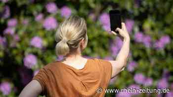 Verstärken Selfies und Videokonferenzen den Schönheitswahn? - Mode & Schönheit - Rhein-Zeitung