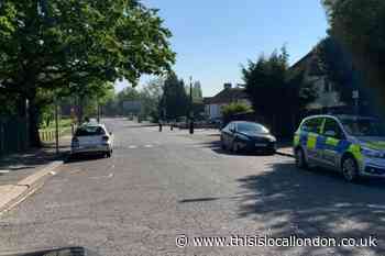 Police name victim who was fatally stabbed in Montrose Park