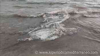 Aparece un calamar gigante en la playa del Pinar de Castelló - El Periódico Mediterráneo