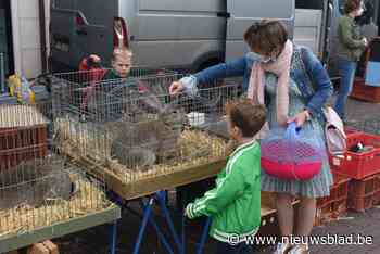 Blije verkopers en bezoekers tijdens heropening Molse ‘konijnenmarkt’