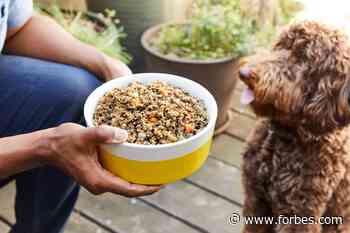 5 Fresh Dog Food Delivery Options That Will Have Your Pup Eating Like Royalty - Forbes