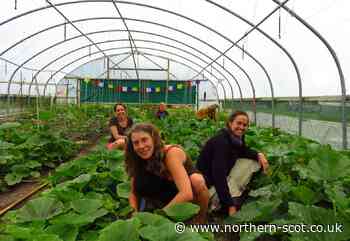 Free course in Moray to learn about sustainable food - Northern Scot