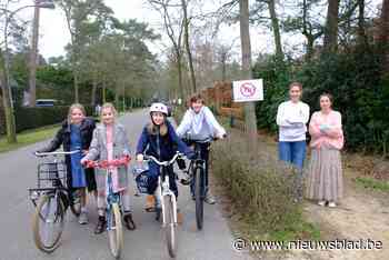 Buslijn 730 verdwijnt, Brasschaat wil samenwerken met Ekeren voor 'buurtbus' - Het Nieuwsblad