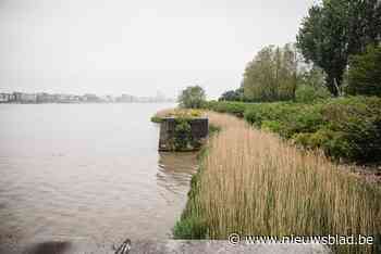 Scheldeboord op Linkeroever wordt groener en toegankelijker