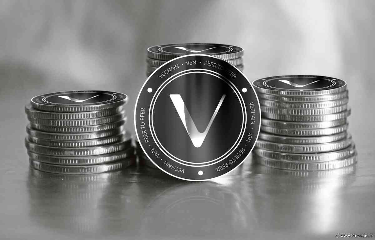 VeChain (VET) kaufen - Ratgeber & Anbieter 2021 - BTC-ECHO