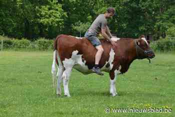 Op zoek naar Kempens erfgoed