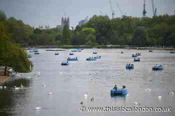 Summer warmth set to continue in London into next week